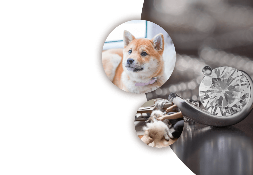 Furever Diamond Hero Image